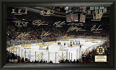 Bruins Signature Rink