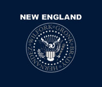 New England football seal shirt